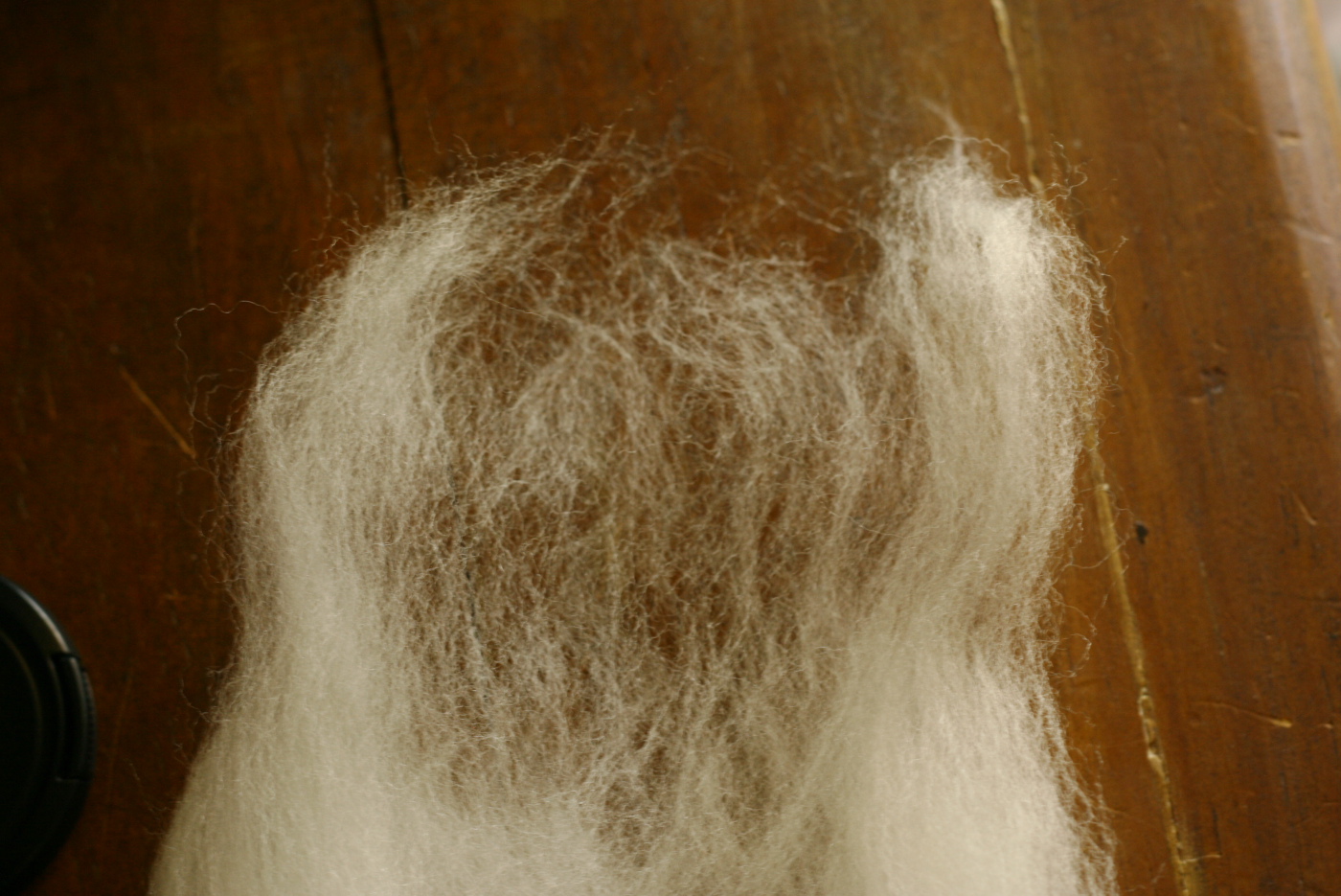 Polwarth roving for handspinning