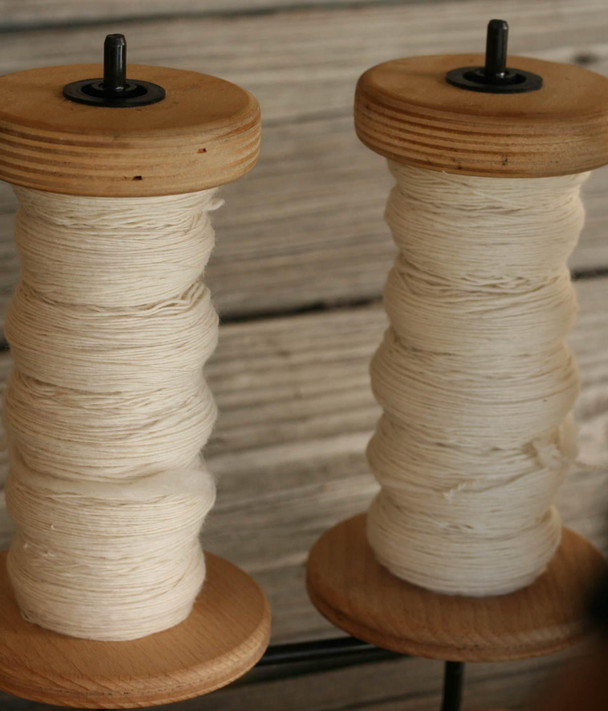 singles of polwarth wool ready to be plied