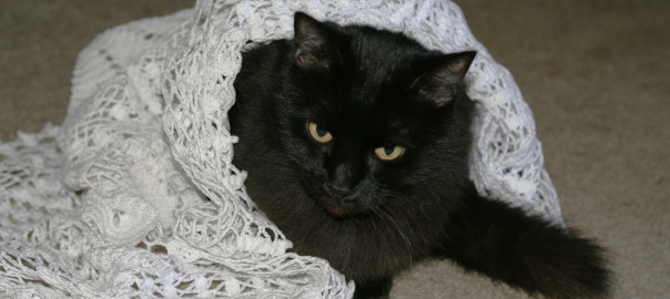 kitty-crochet-lace-4