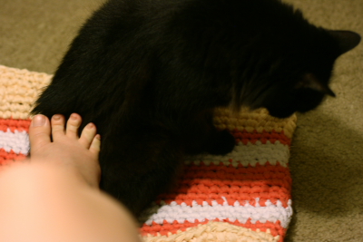 pushing cat off a crochet tote bag