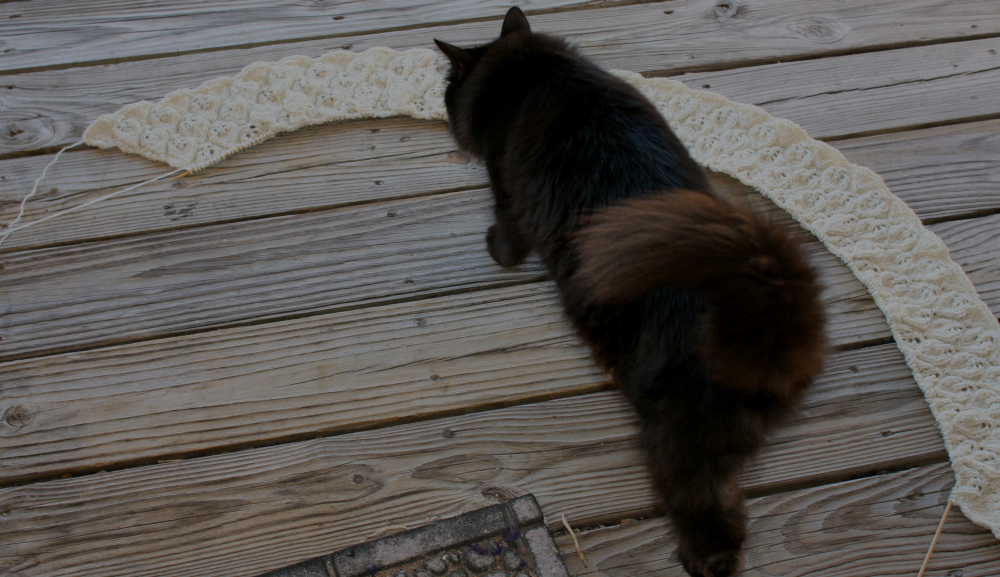Dorset Down Knitting with Feline Overlord