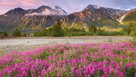 The World's Fair Table Cloth - a vintage crochet pattern