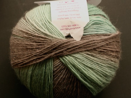 Chroma fingering weight yarn in colorway Manzanita