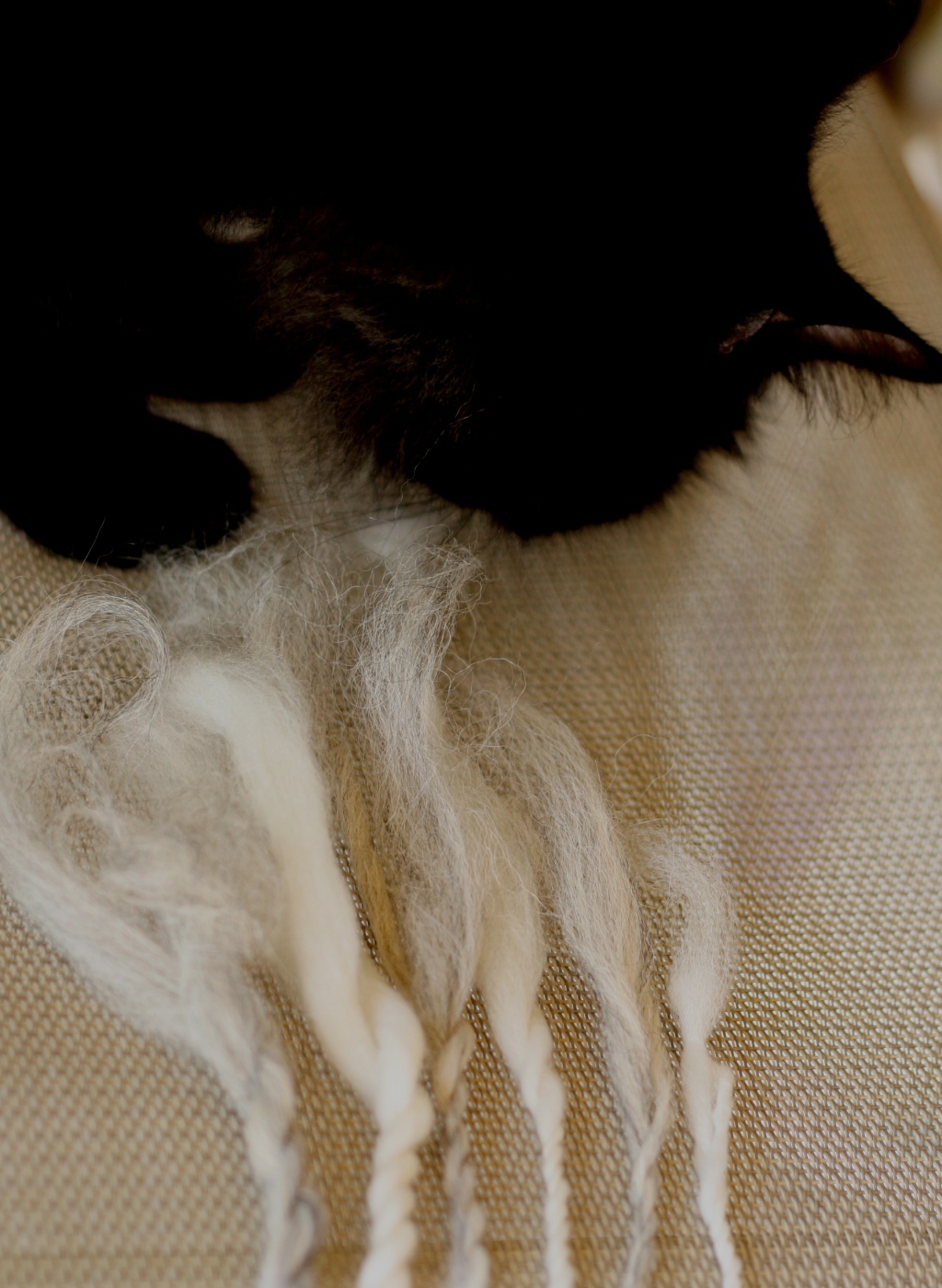 Anti-Spinning Feline Overlord and some fiber