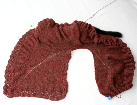 Feline Overlord hides under a Pie Are Square Shawl