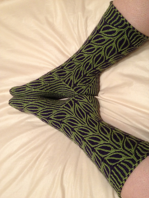 Tradescantia Zebrina by Natalia Vasilieva