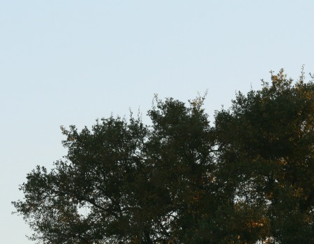 rest your eyes by looking off into the distance