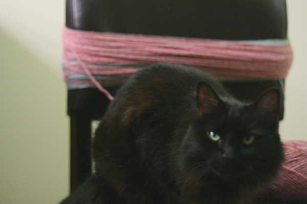 Making a big pom pom