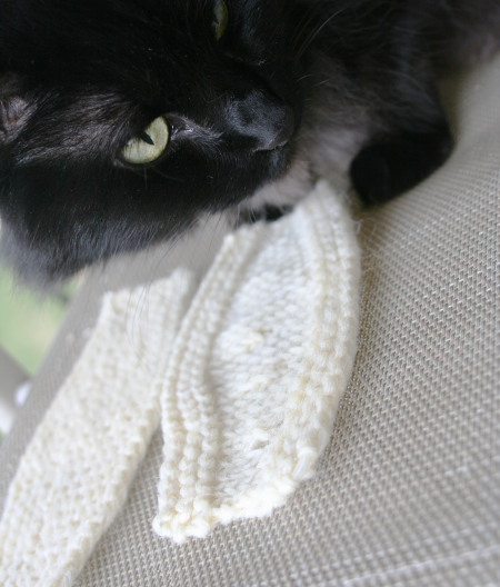 Cats and knitting swatches