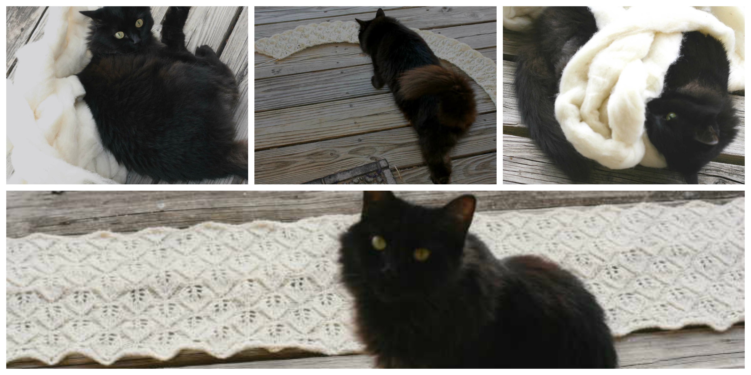 Dorset Down and the Feline Overlord