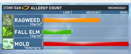 pollen and mold forecast - Austin, texas