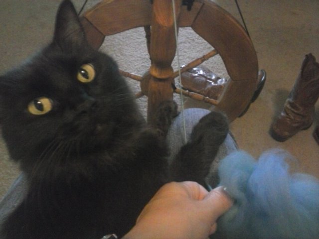 Anti-Spinning Feline Overlord