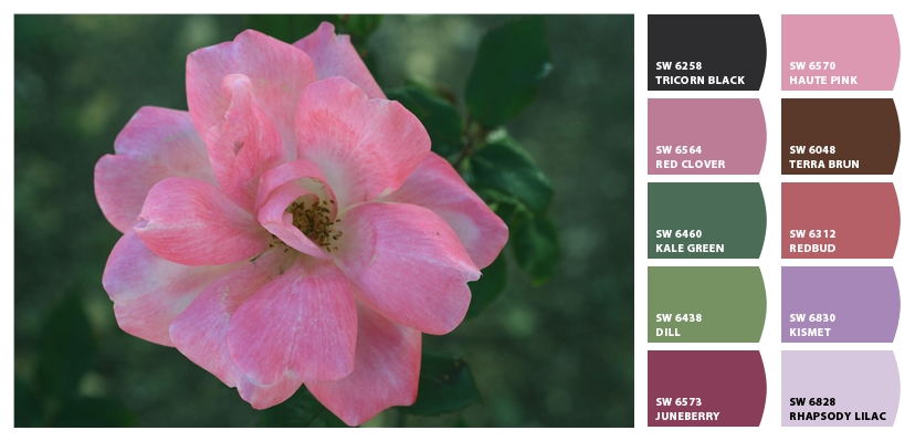 pink rose run through the Chip It! app