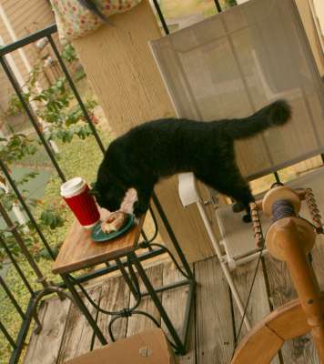 kitty stealing a donut