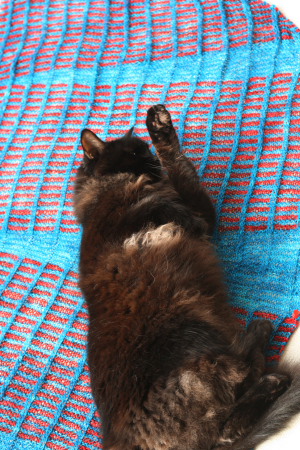 Feline Overlord on my handknit shawl