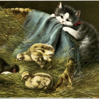 image from old design shop