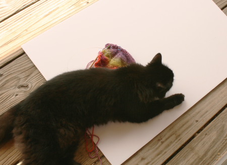 Feline Overlord sits on the knitting. Again. 