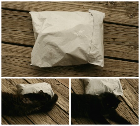 When new yarn gets delivered, kitty must get to inspect