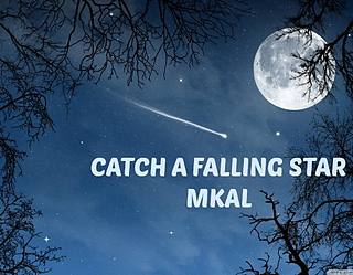 Catch A Falling Star MKAL by Elizabeth Ravenwood