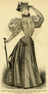 Ladies’ Visiting Toilette - April 1895 issue of The Delineator magazine