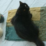 Trickery Knit-a-Long Part 3 : working hard