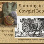 Spinning in Cowgirl Boots � A History of Sheep